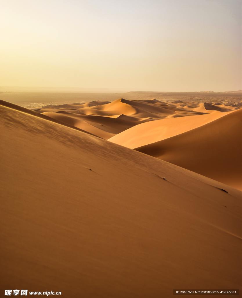 沙漠 沙子 沙滩