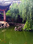 公园 庭院