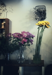 鲜花
