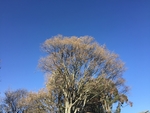 蓝天 天空