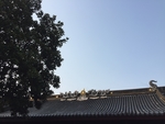屋檐 房顶