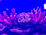 海底世界