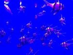 海底世界