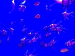 海底世界