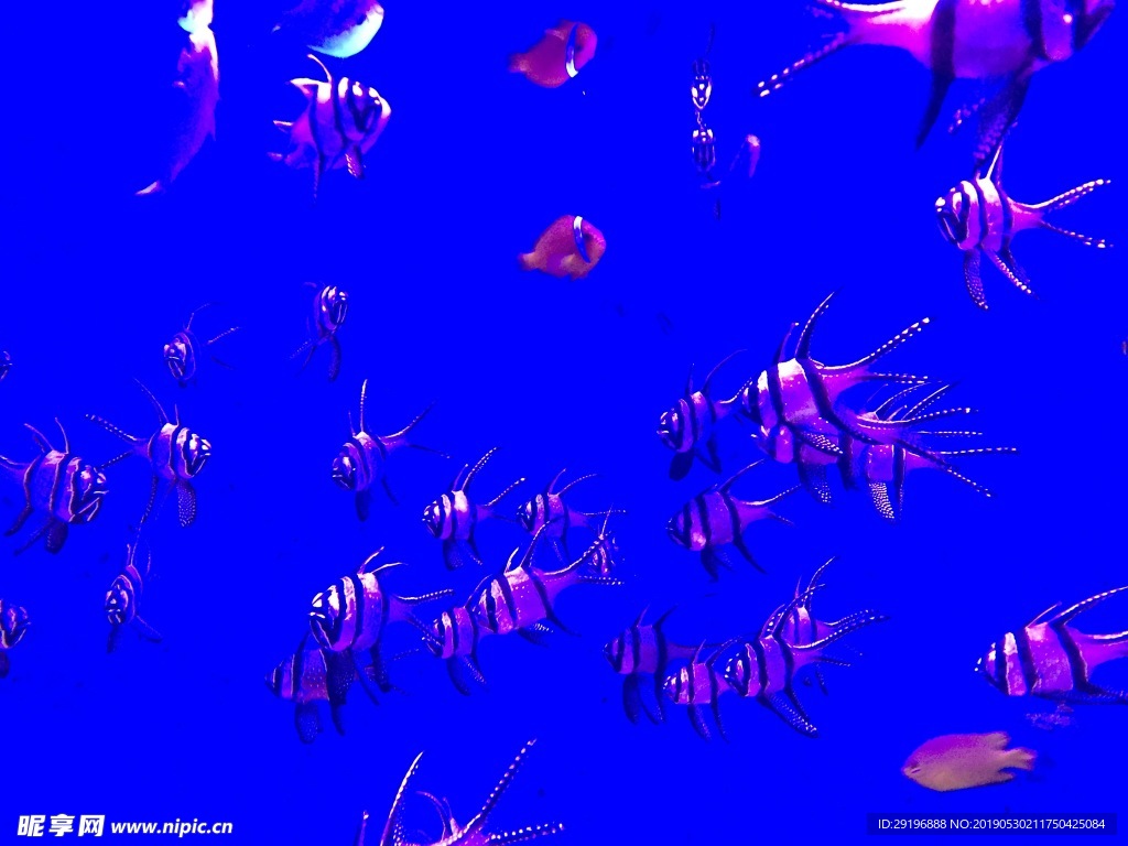 海底世界