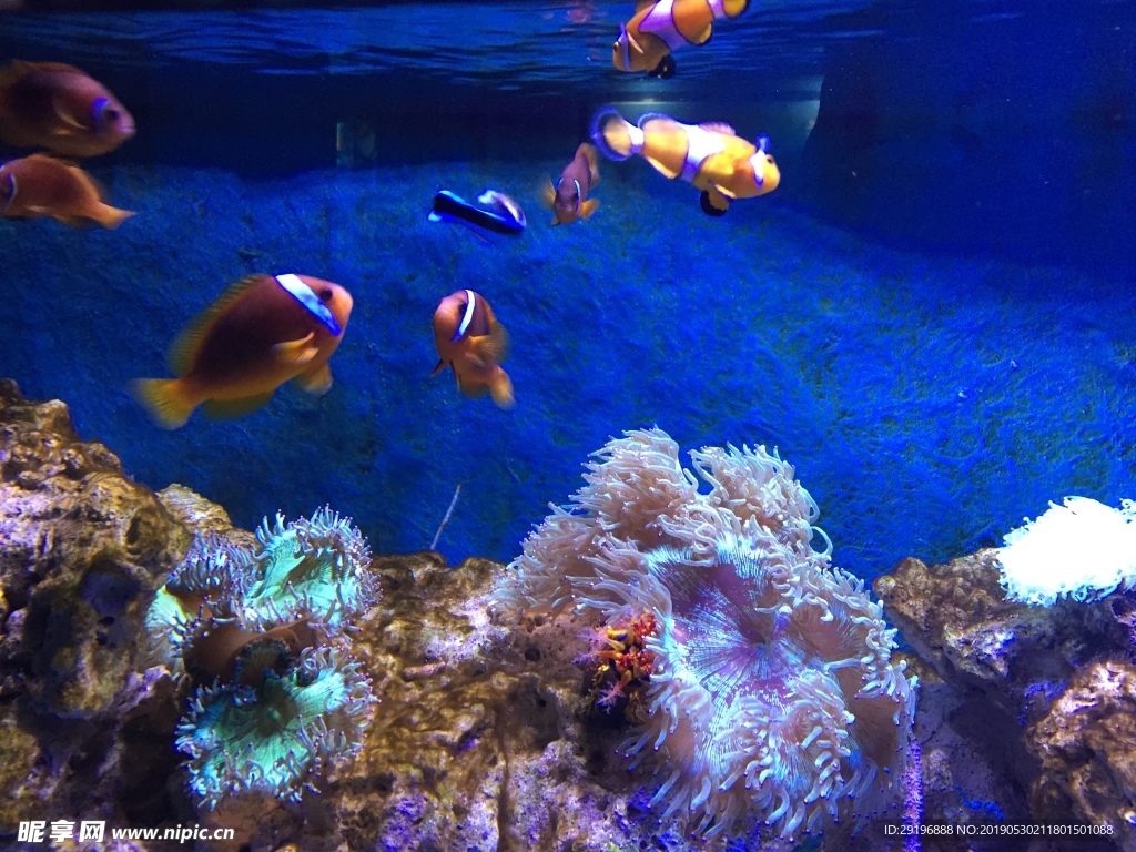 海底世界
