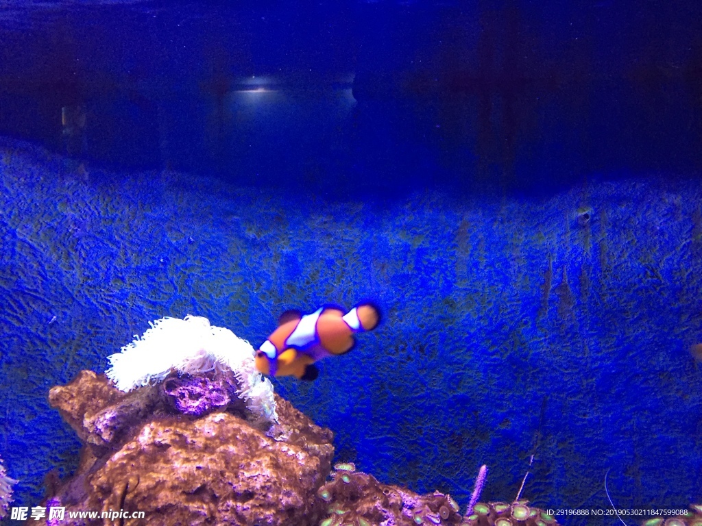 海底世界