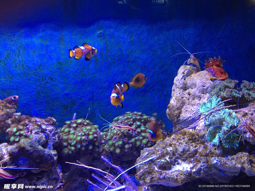 海底世界