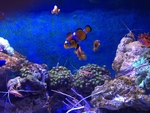 海洋馆