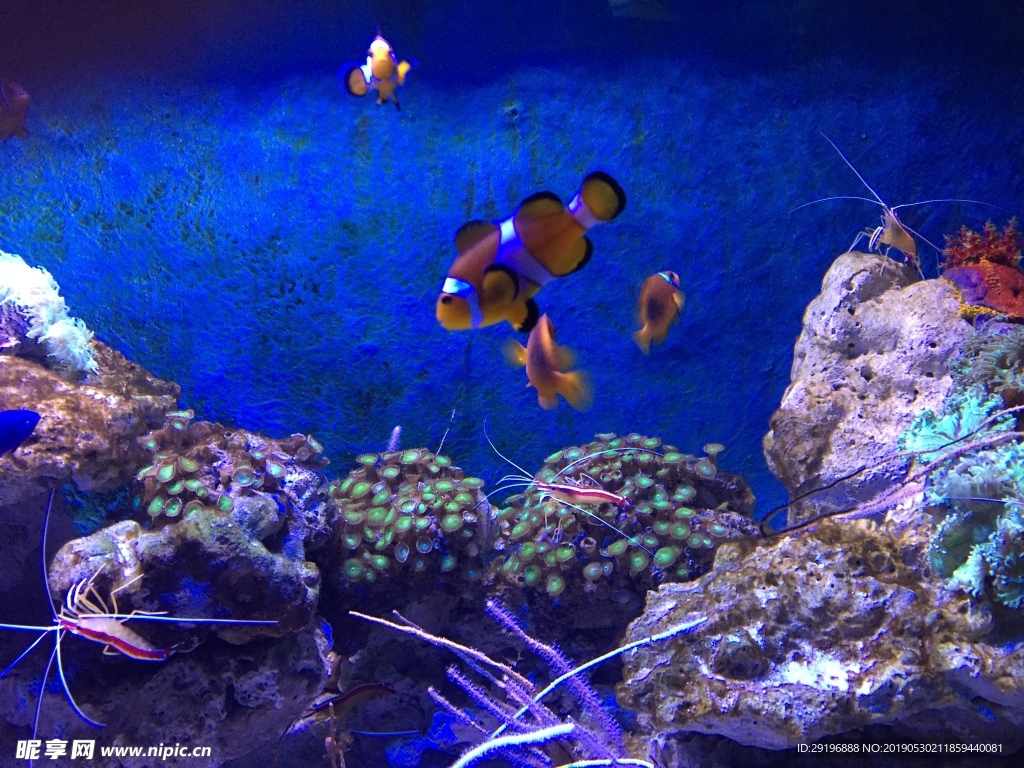 海洋馆