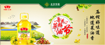 鲁花菜籽油