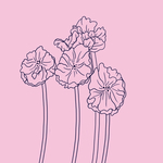 线条花边图案