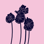 四朵花
