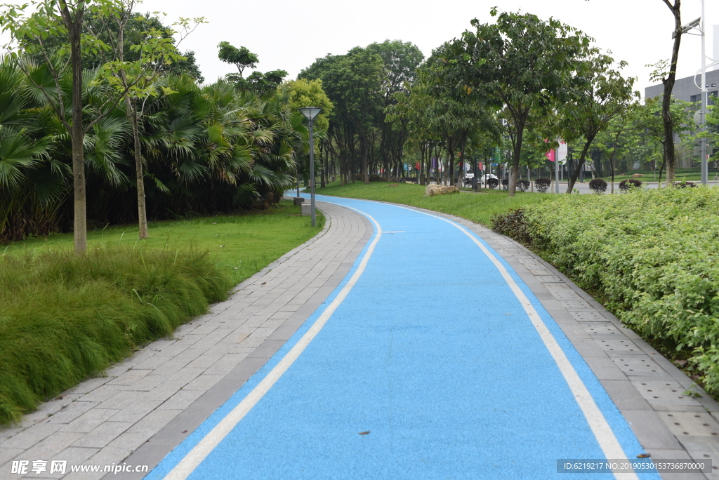 跑道 公园跑道