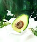 牛油果