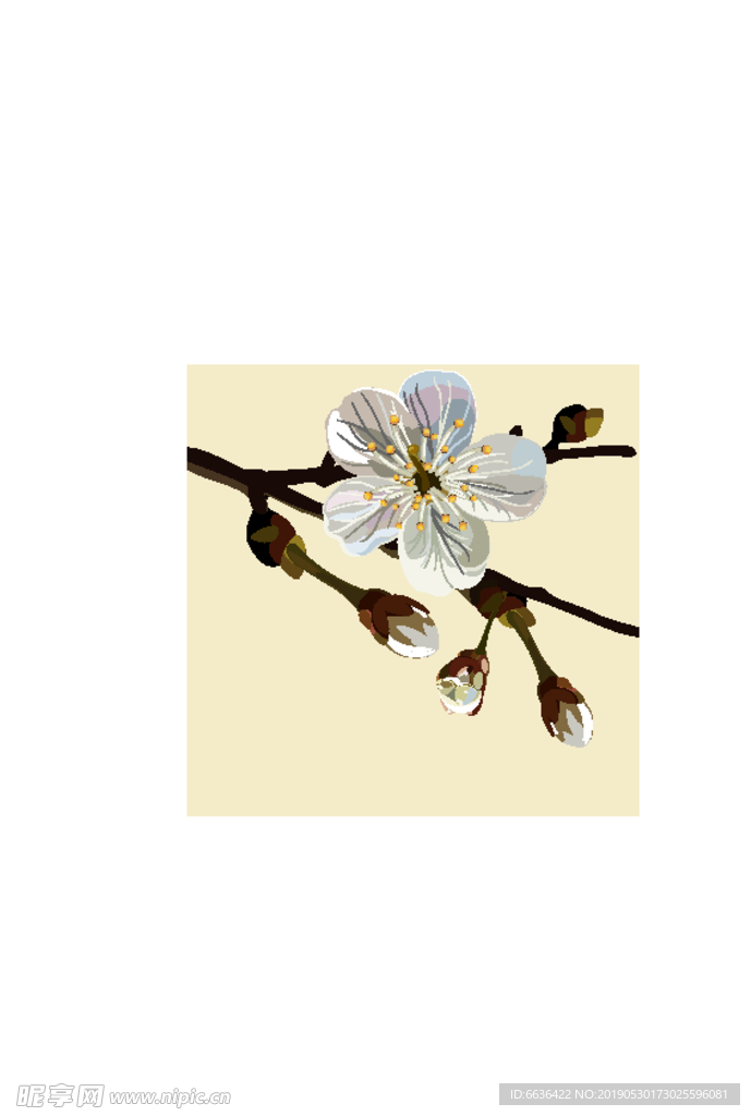 花朵 古典 花纹 时尚 底纹