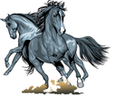 马 花纹  时尚 底纹 树叶