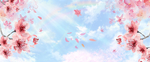桃花海报