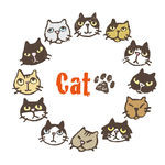 猫