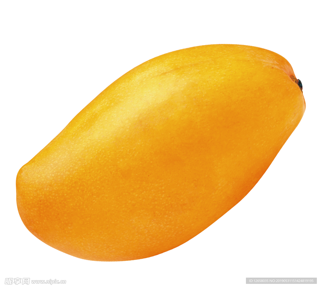 芒果  水果
