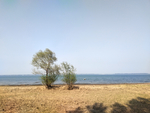 海边 风景
