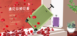 拉杆箱主图