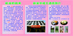 洞口罗溪国家森林公园