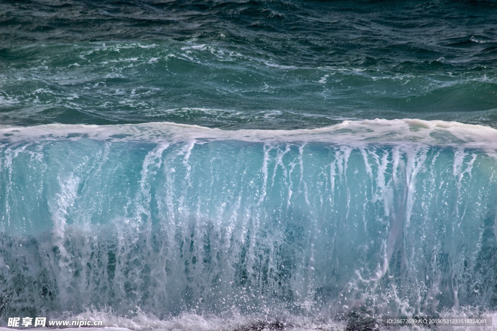 大海