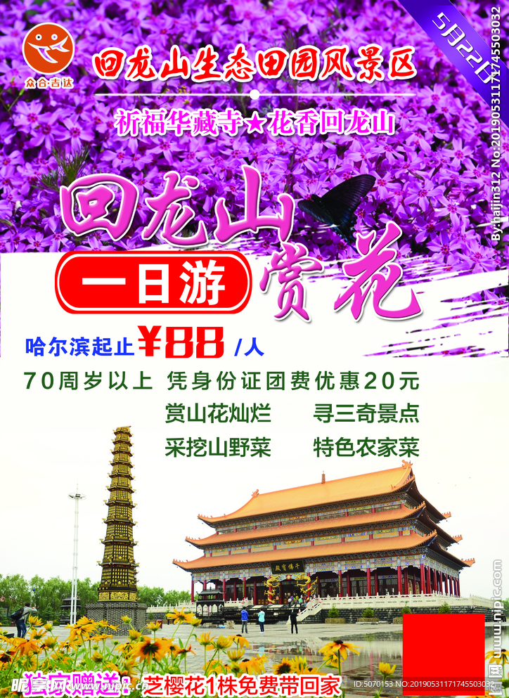 回龙山赏花一日游