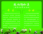 冰煮羊清真形象墙