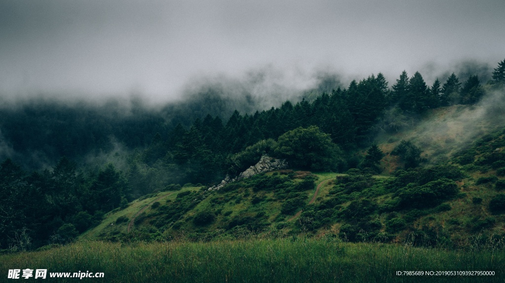 森林山峰背景