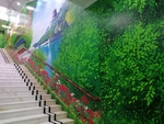 绿草丛生