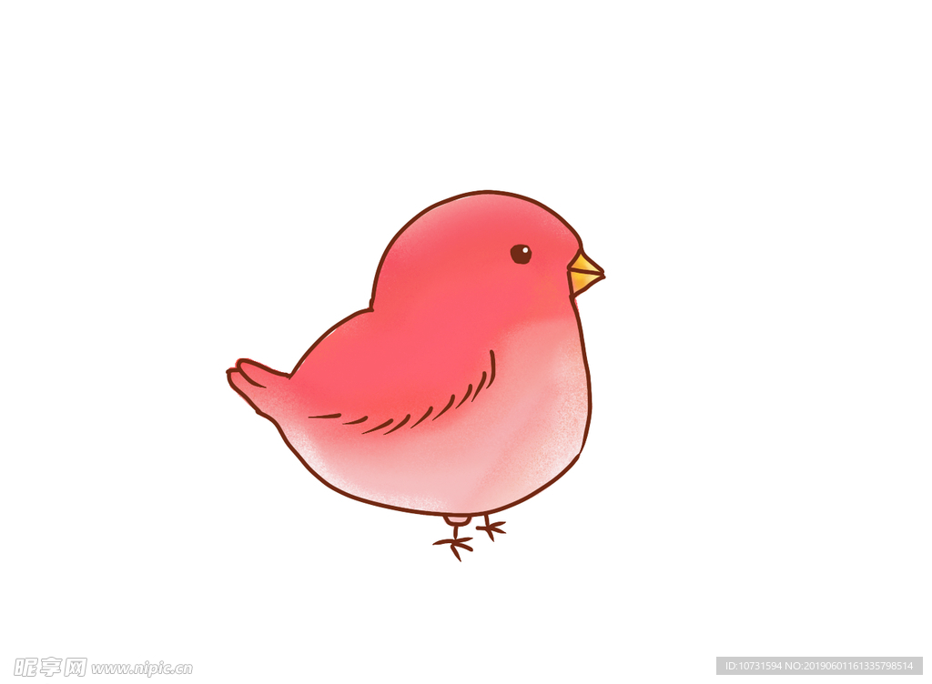 小鸟