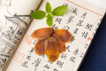 红参片