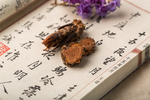 红景天