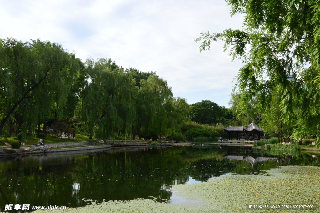 陶然亭美景