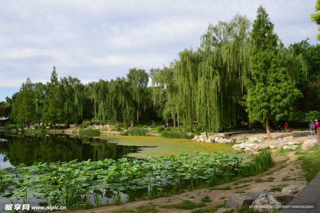 陶然亭美景