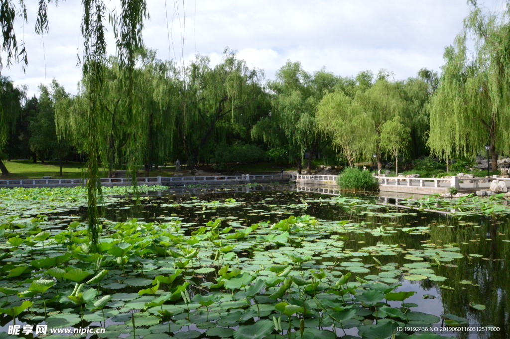 陶然亭美景