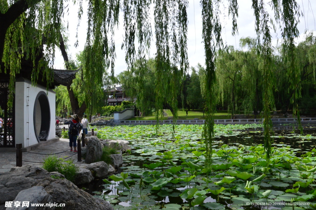 陶然亭美景