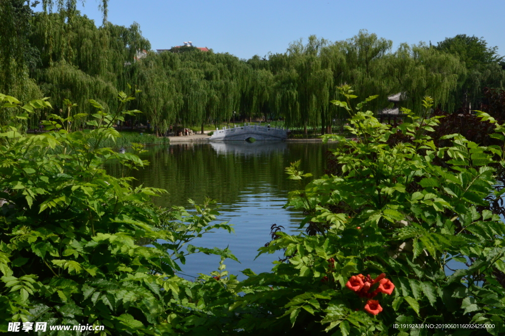 陶然亭美景