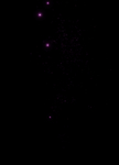 粉色满天星