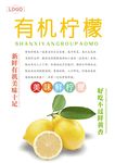 柠檬海报