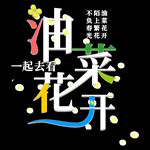 油菜花开