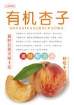 杏子海报
