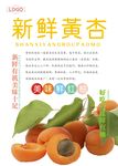 杏子海报