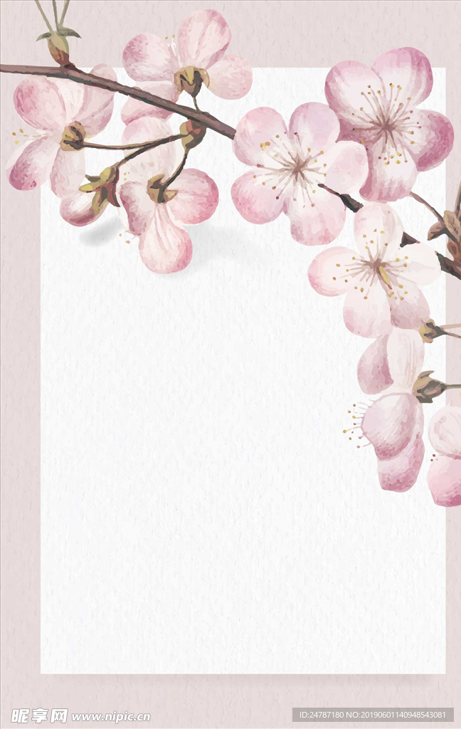梅花