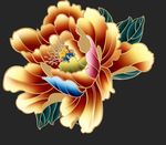 手绘花朵