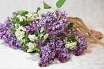 鲜花
