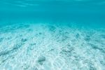 海水