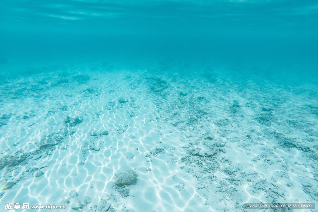海水